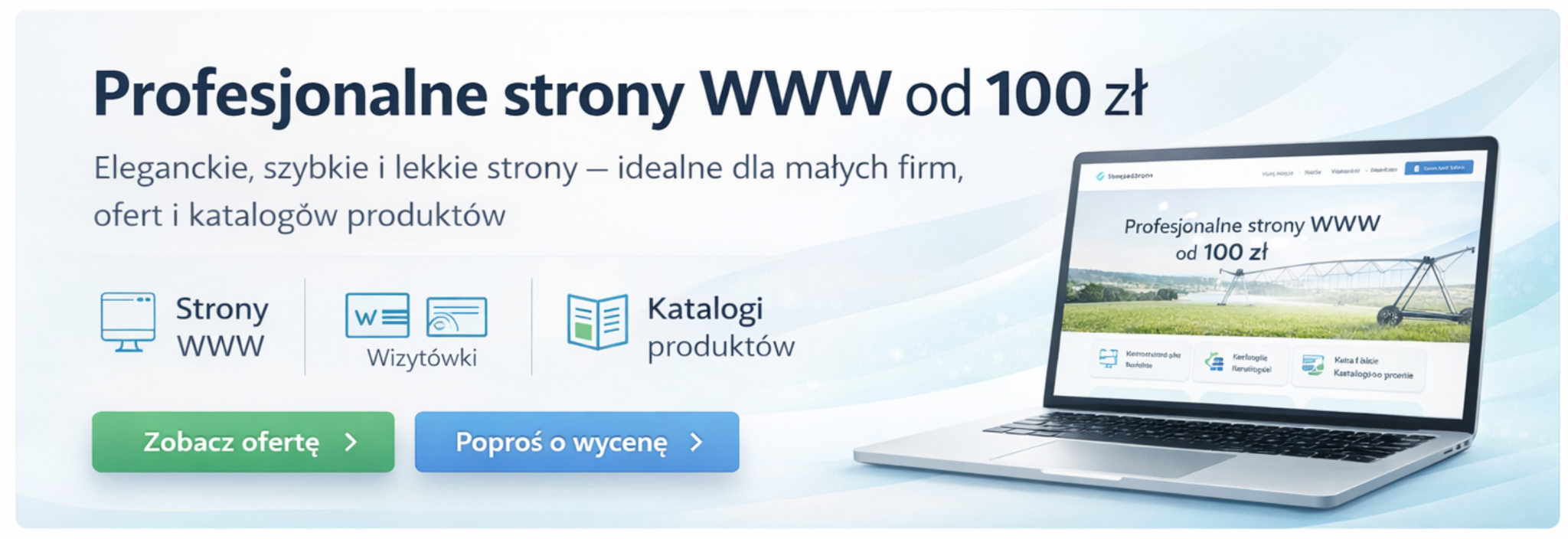 Profesjonalne strony WWW od 100 zł
